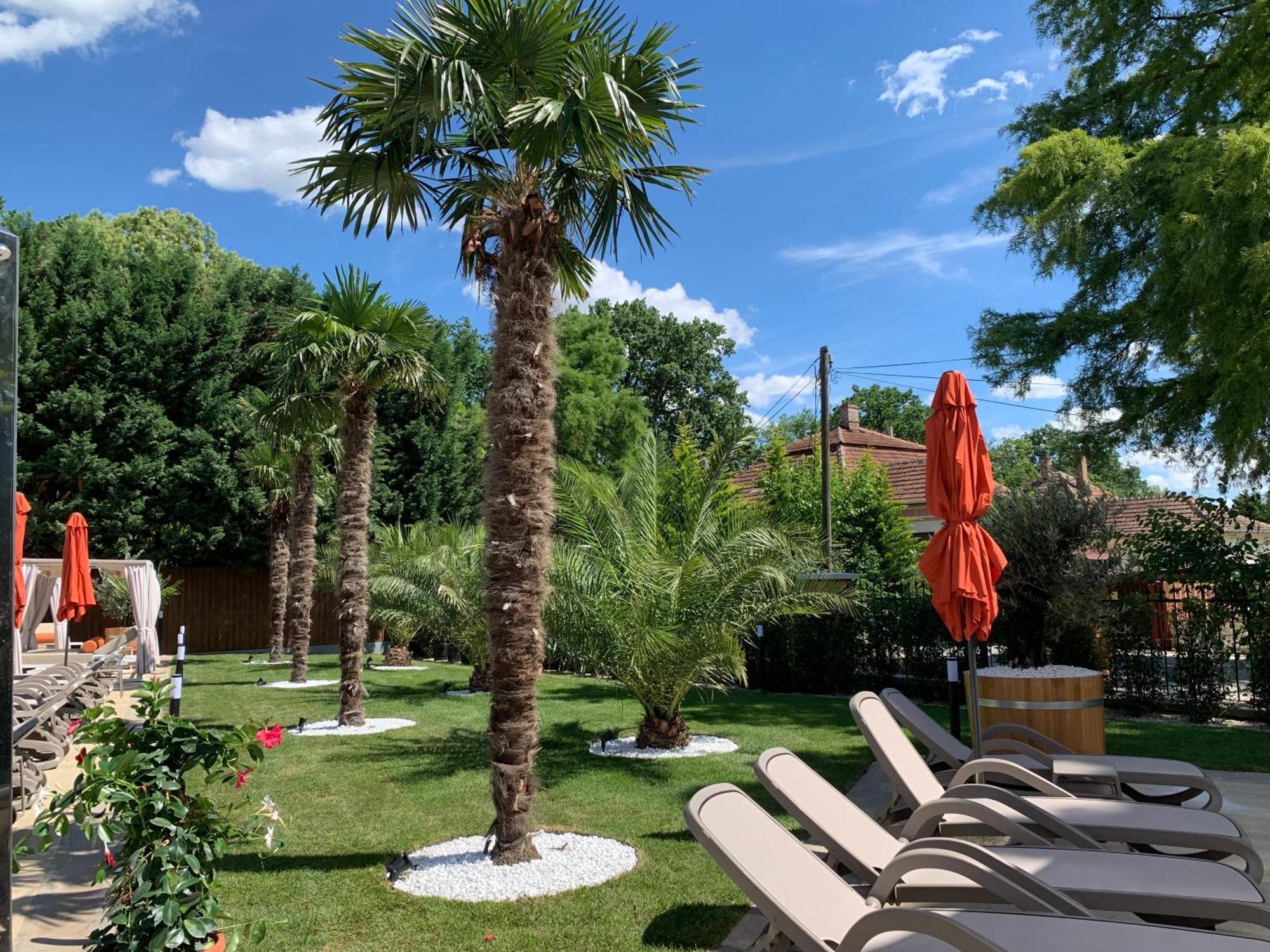 Wellness Hotel Gyula Luaran gambar