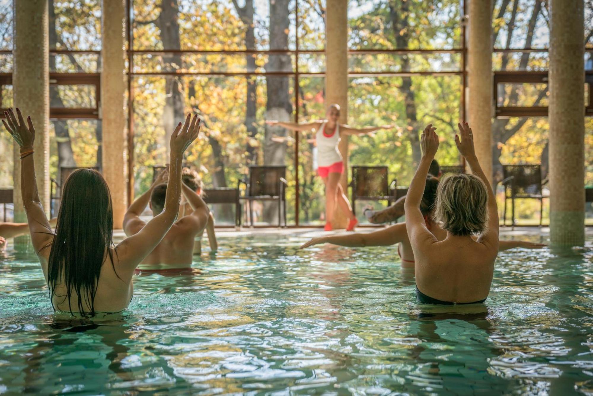 Wellness Hotel Gyula Luaran gambar